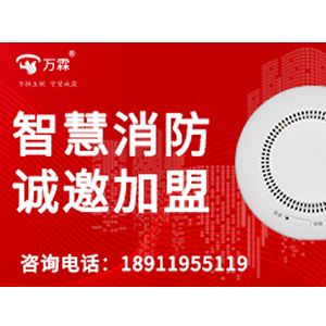 Scaling Your Test Equipment Brand: A Wanlin OEM Success Case Study in Fire Protection
